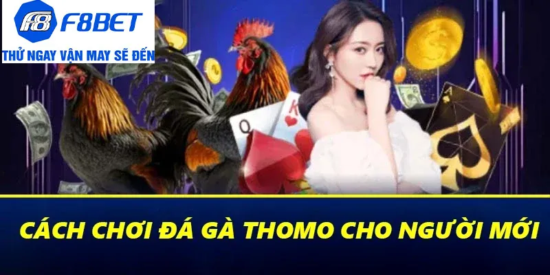 đá gà thomo cách chơi